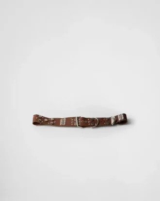 Studded Leather Belt